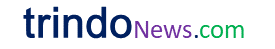 TRINDONEWS.COM logo