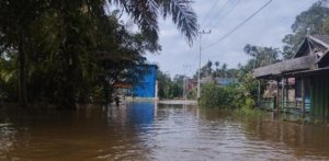 Banjir Rendam 80 Rumah Warga Desa Sungai Hanya Kotim