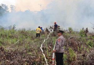 Dewan Imbau Masyarakat Bantu Petugas Padamkan Karhutla