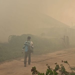 Kebakaran Lahan di Kotim Merembet Permukiman Warga