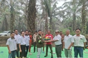 PT. ITH Minamas Lanjutkan Kebun Kemitraan di Desa Pembuang Hulu 2